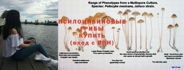 гашишное масло Беломорск